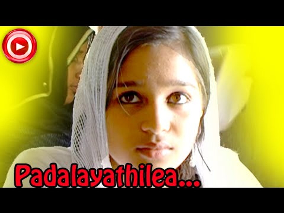 Mappila Album Songs New 2014 - Padalayathilea... - Album Songs Malayalam