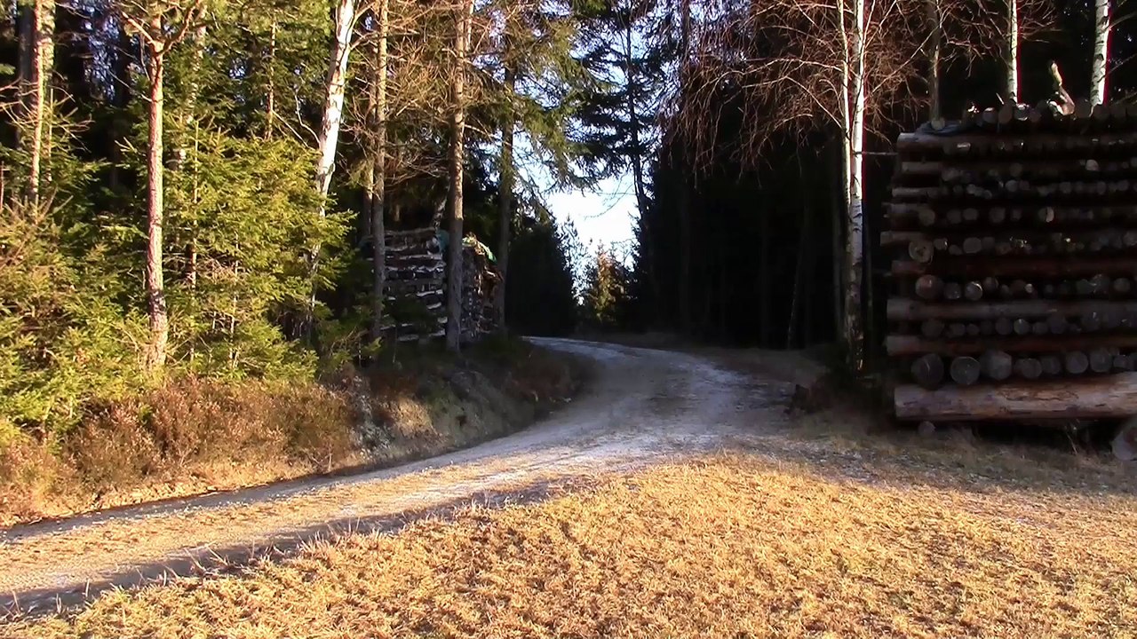 Erinnerungen an die Mayerhoferwiese 🌿 – Ein Ort voller Geschichten