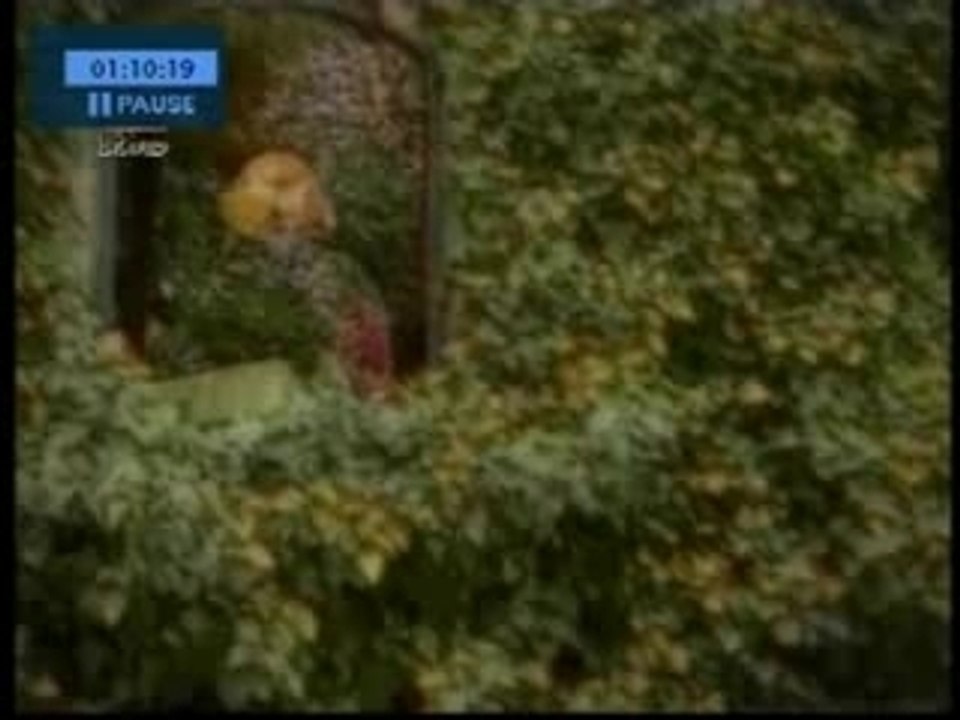 La Hungara (Vete De Mi Vera)