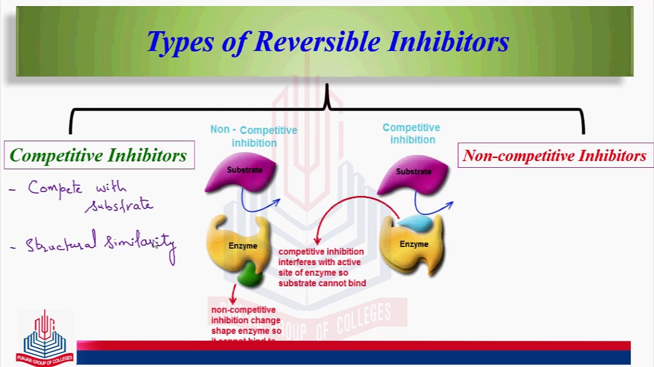 Reversible Inhibitors and their Types