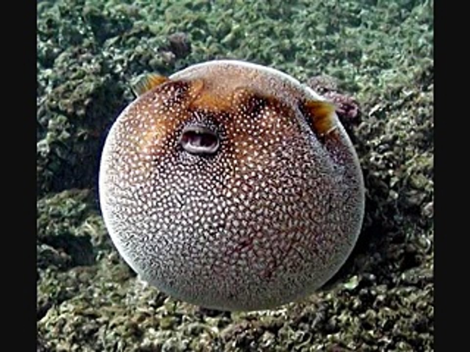 Can Anyone Explain What Is This-