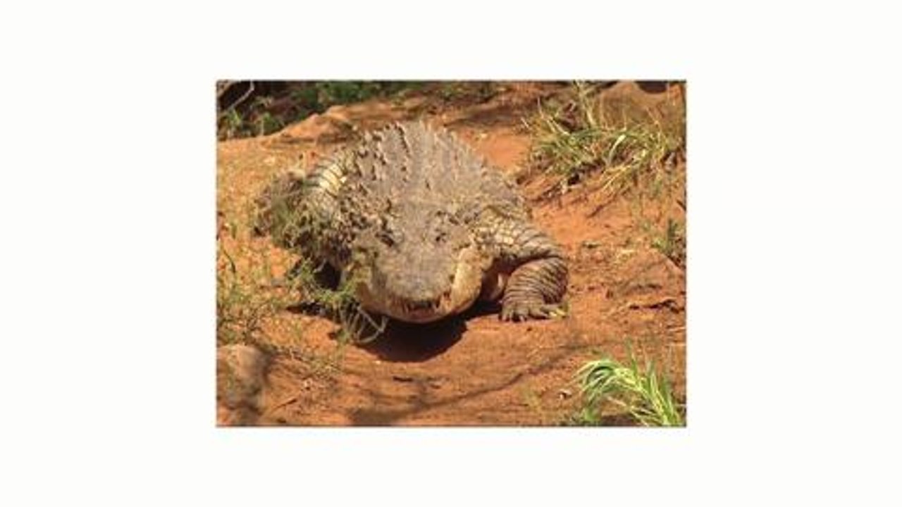 La tracción total simétrica (AWD) mejora la seguridad Episodio 2