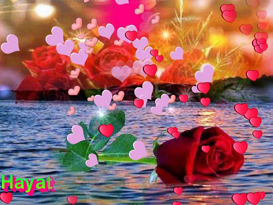 Kumar Sanu & Alka Yagnik Love Songs 🎶