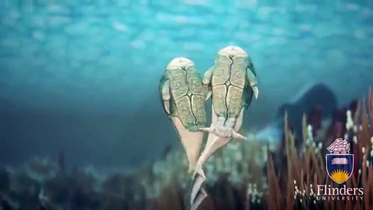 Microbrachius dicki - first-known animal to have sex