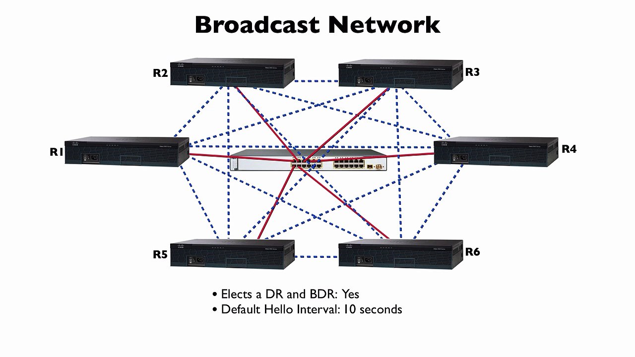 204. What are OSPF Network Types
