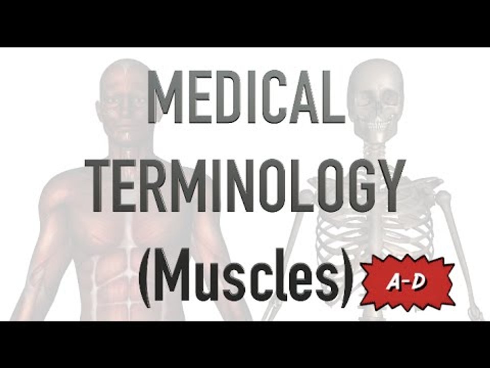 Medical Terminology: Muscles (A-D) Overview