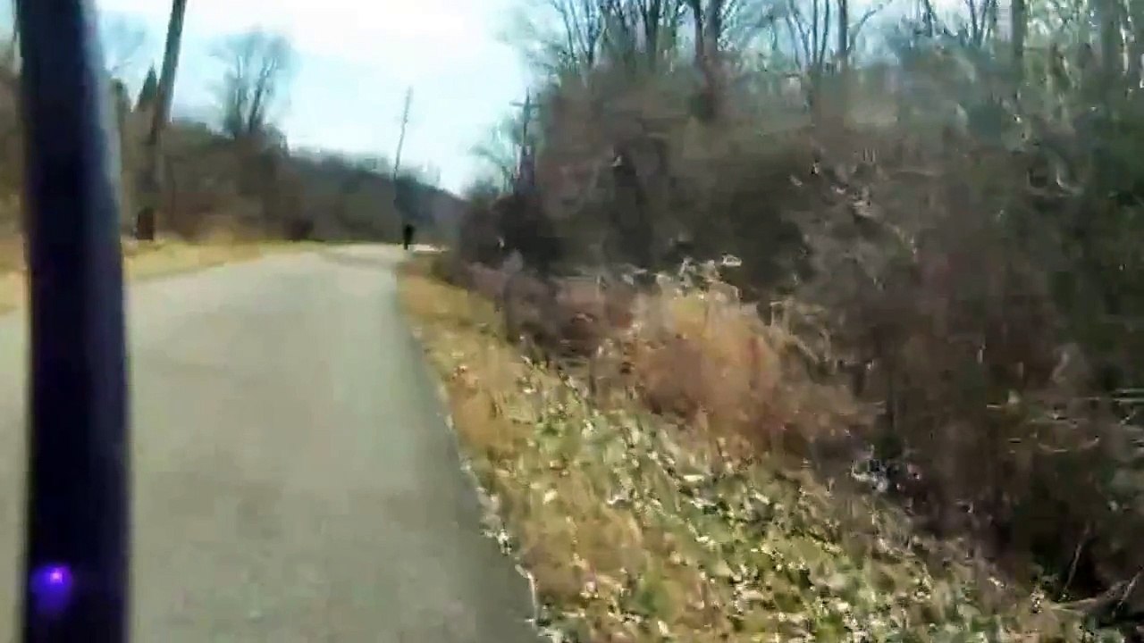 dog attacks cyclist