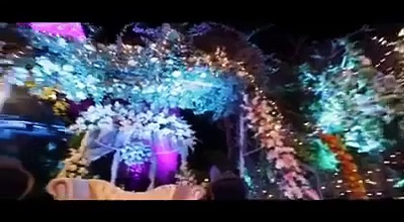 Sanam Jung's Wedding Highlights