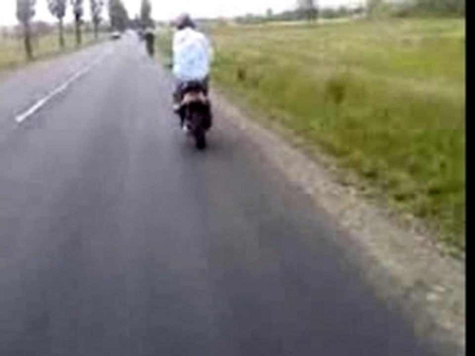 Buch Revenan de la Zone