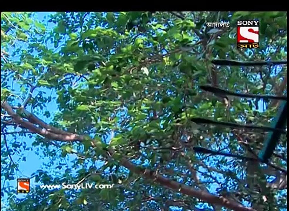 Adaalat - আদালত (Bengali) - Ep 384 – Kaktarua