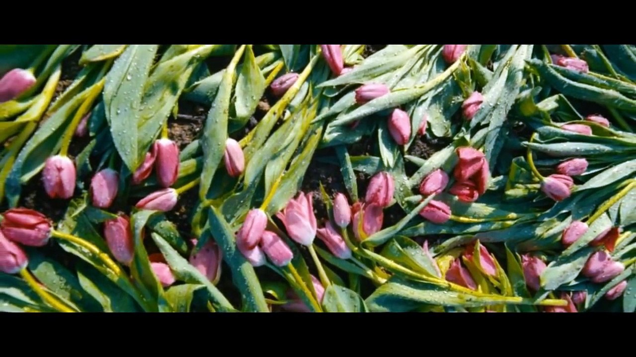 Сергей Безруков - Мама.mp4