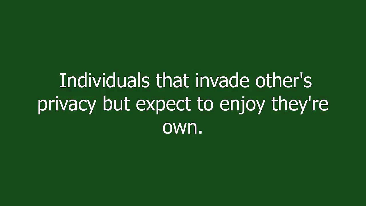 privacy pirate meaning and pronunciation