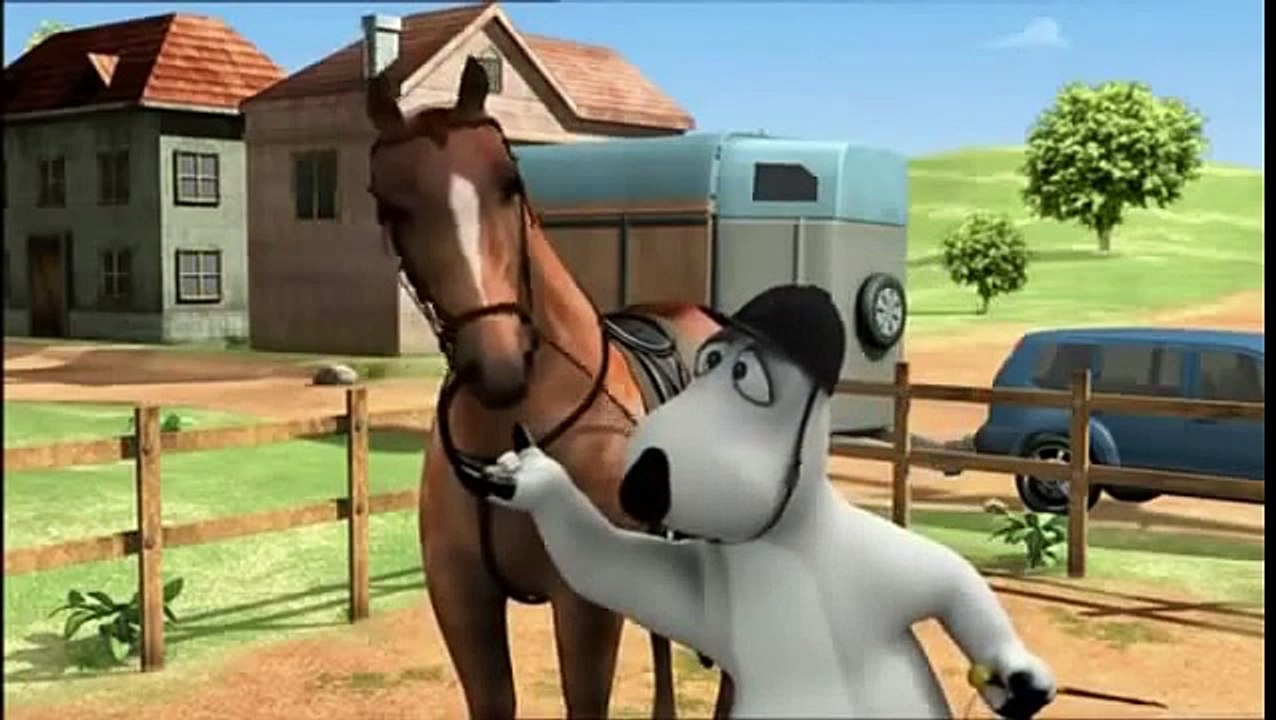 БЕРНАРД И СПОРТ - Конный спорт