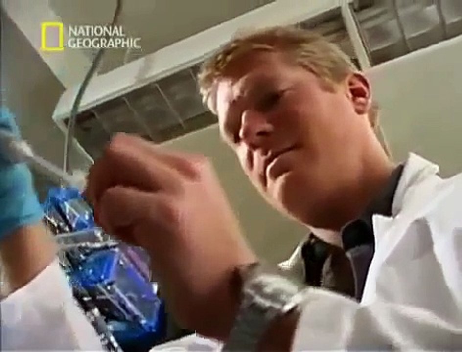 Theory of DNA Science - MESSAGE FROM GOD