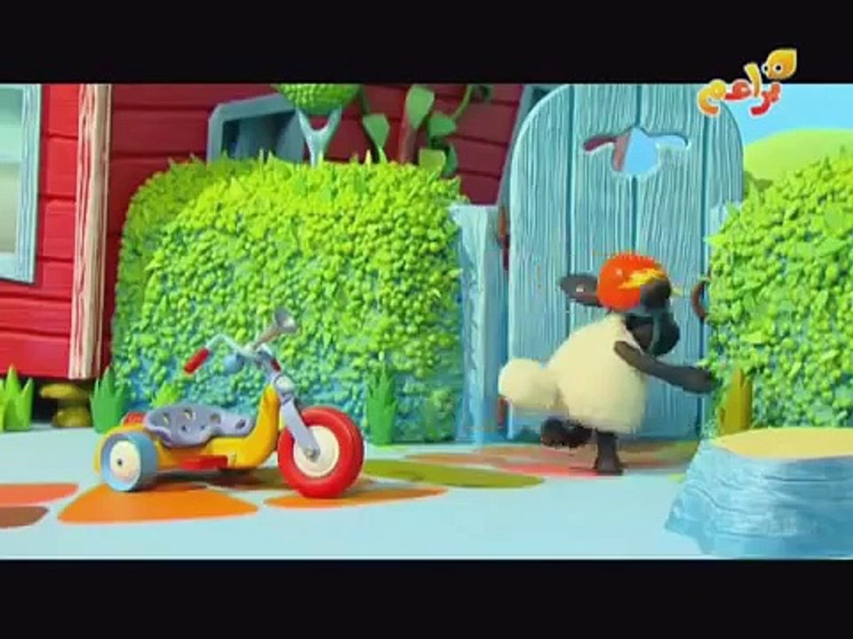 ‫الخروف يلعب .. براعم‬‎