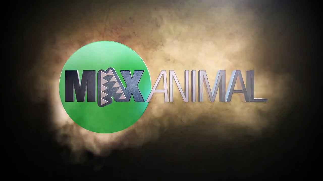 Lion vs. Python- Python Teaches Lion Cub a Lesson