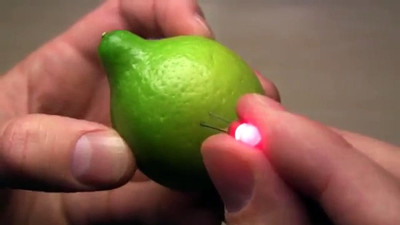 Lemon Battery Project Idea for Panah Science Mela