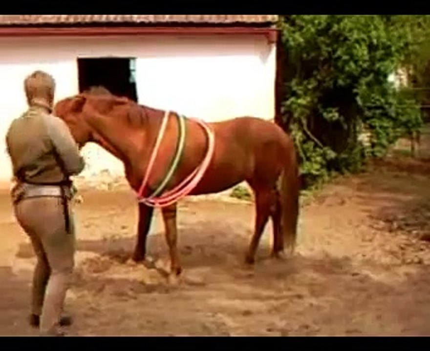 Kalafi und Nelly und das Clickertraining - Große und Kleine Ringe