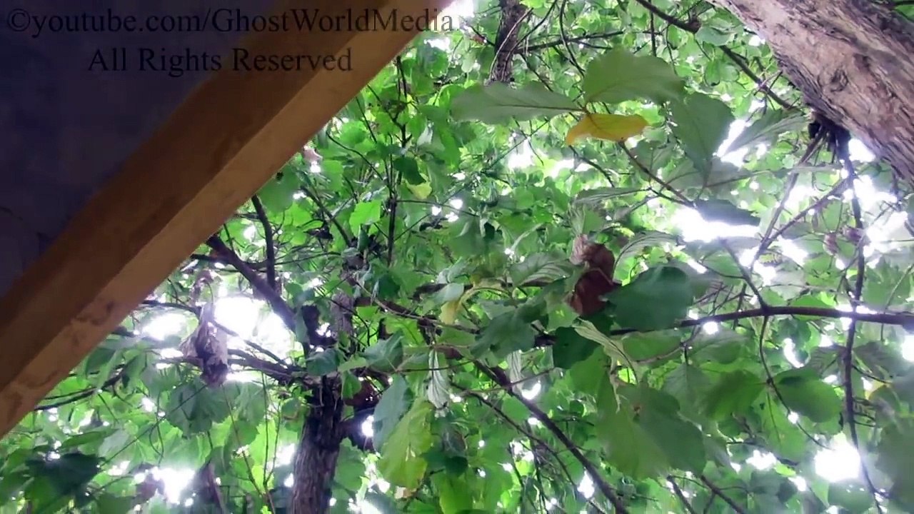 Something Caught On Camera What Type Of Ghost Is This!!!