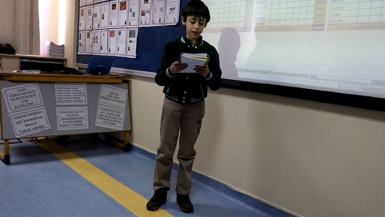 Arman Şolpan: Renowned Artist and Innovator