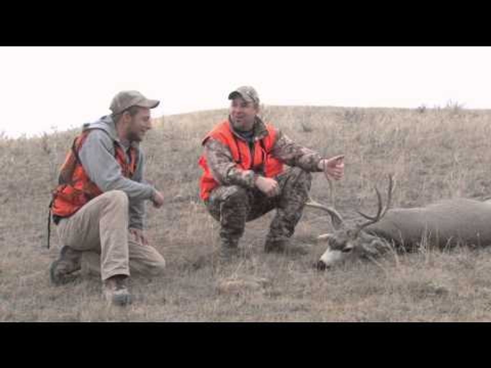 SportingDog Adventures - SportingDog Adventures