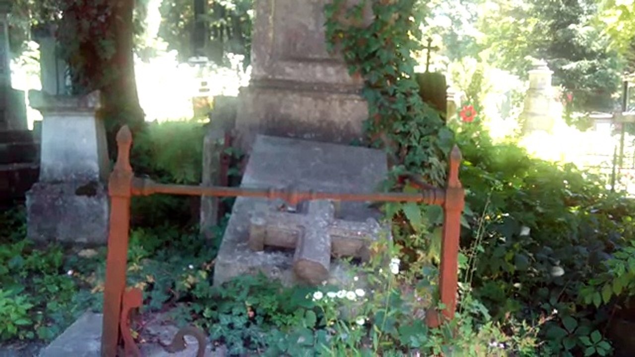 Лычаковское кладбище (неухоженные могилы) заложено в 1786 г (интересные места)