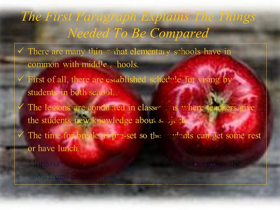 Compare and Contrast Essay Example