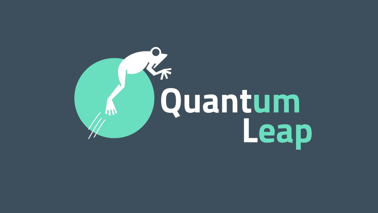 Quantum Leap Mobility - Mobile Application Development