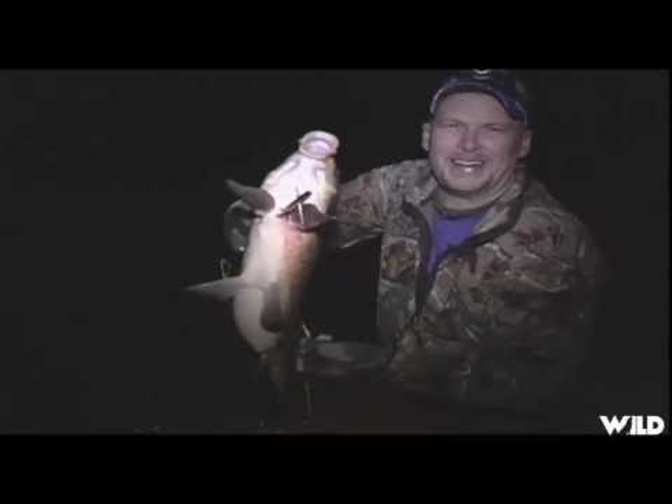 Bowfishing for Carp in Wisconsin