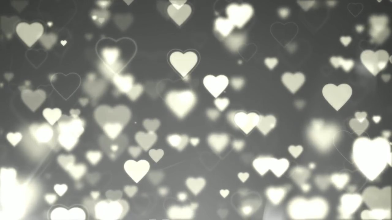 Video Background HD - Wedding HD - Footage HD