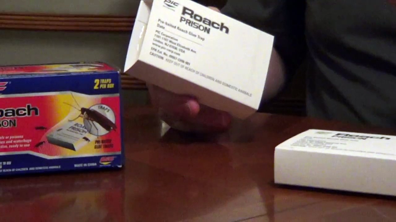 Roach Trap - Cockroach Traps