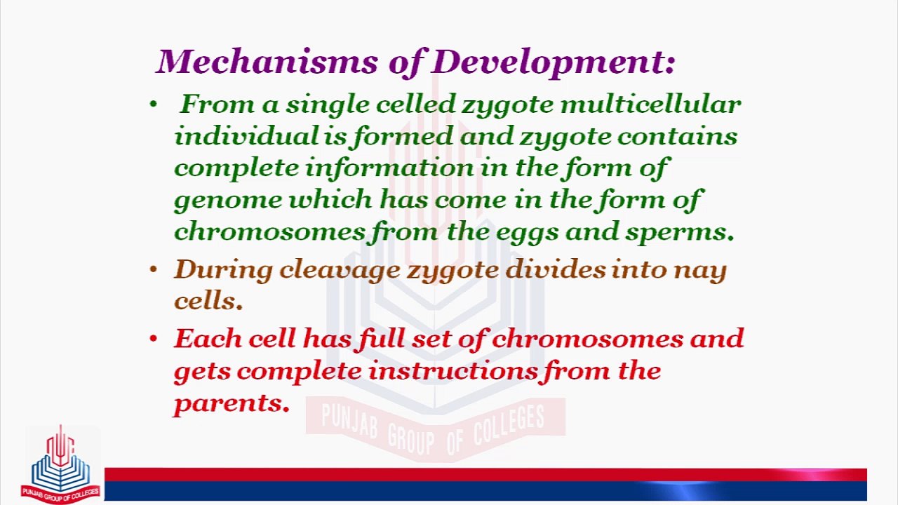Mechanisms of Development