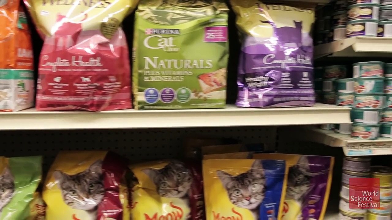 Quantum Physics Is Everywhere