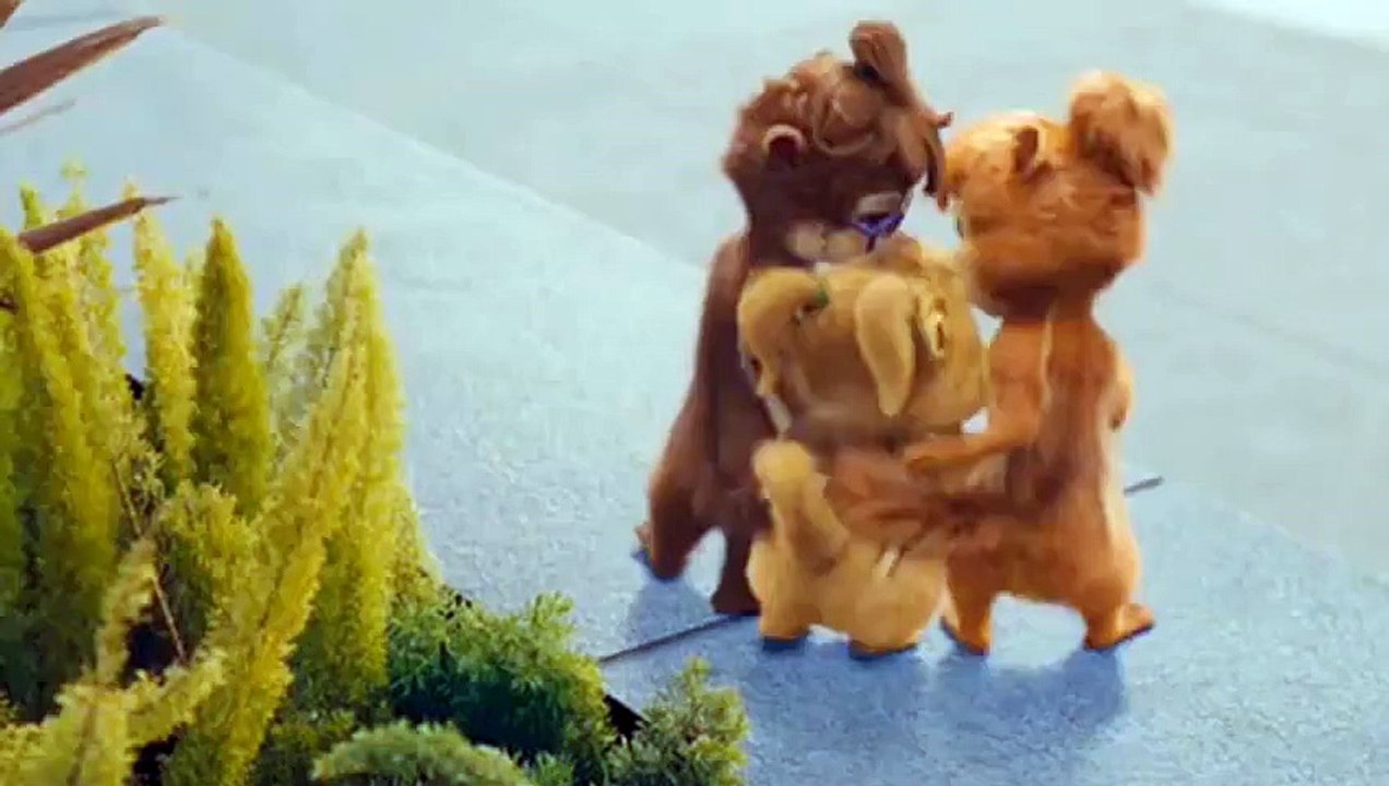 Happy Birthday Chirag