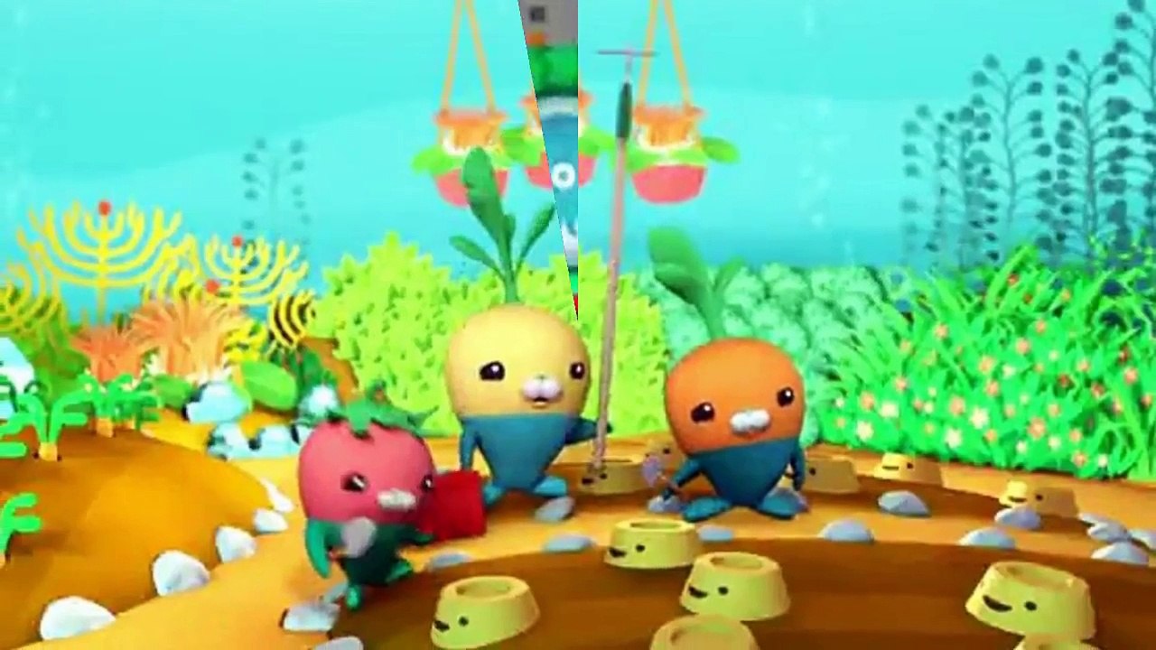 Octonauts ****Octonauts Cartoon In Hindi Language