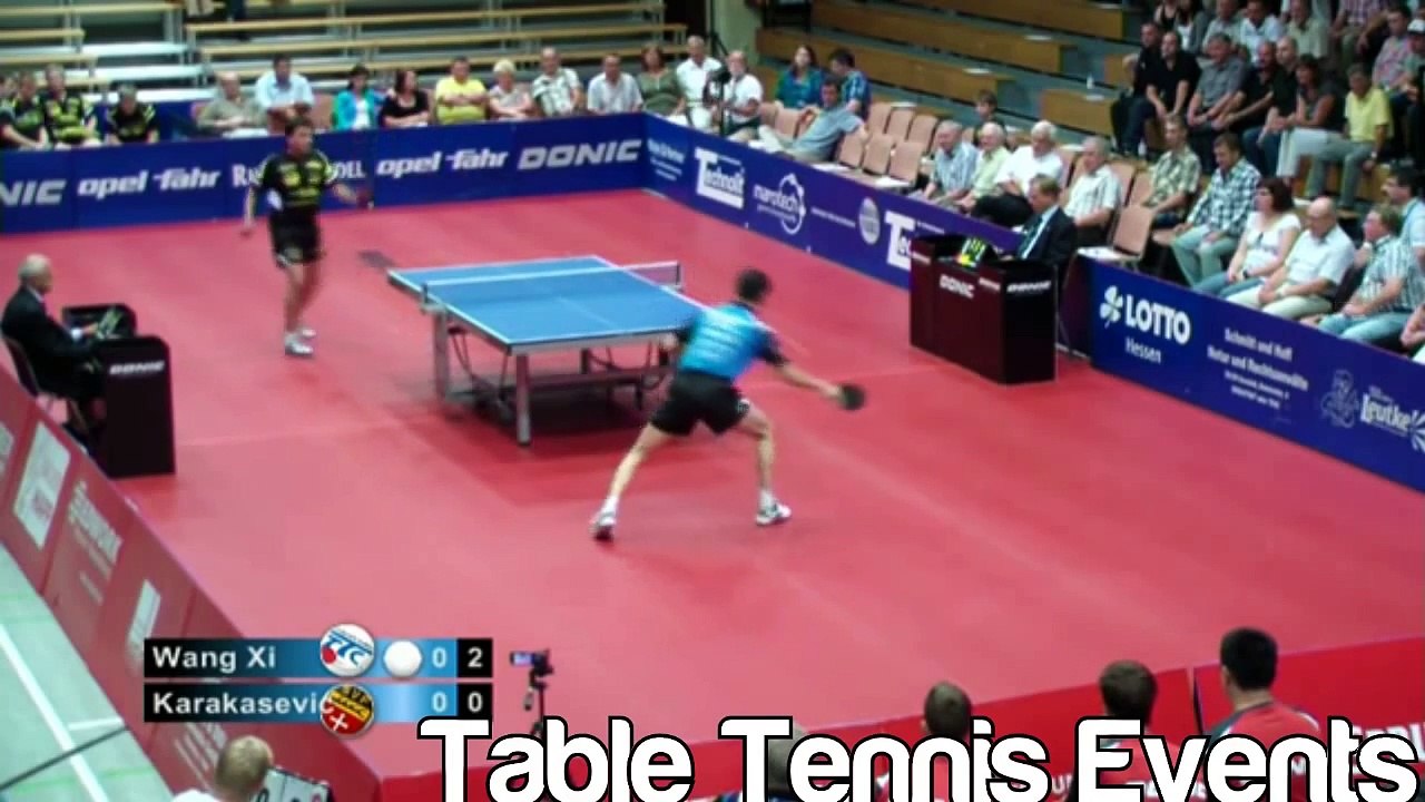 Wang Xi Vs Aleksandar Karakasevic Match 4 [German league 20122013]