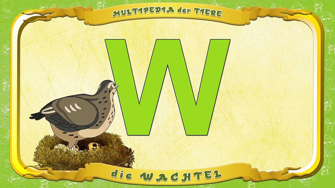 Multipedia der Tiere. Buchstabe W die Wachtel