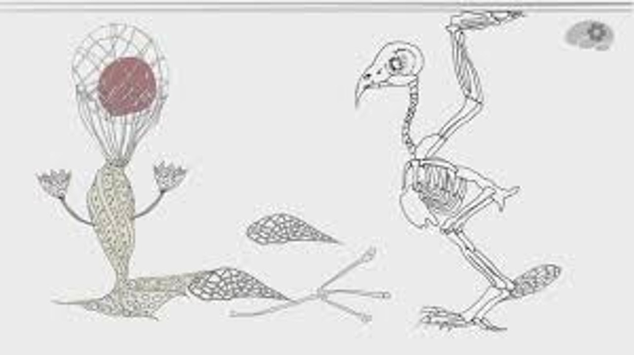 Круговорот углерода