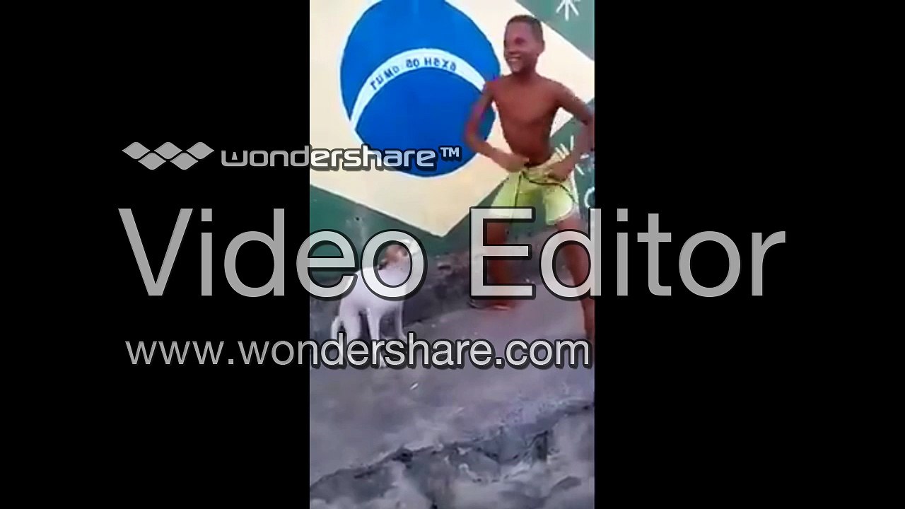 EDM Dog: The Ultimate Music & Pet Fusion 🎶🐶