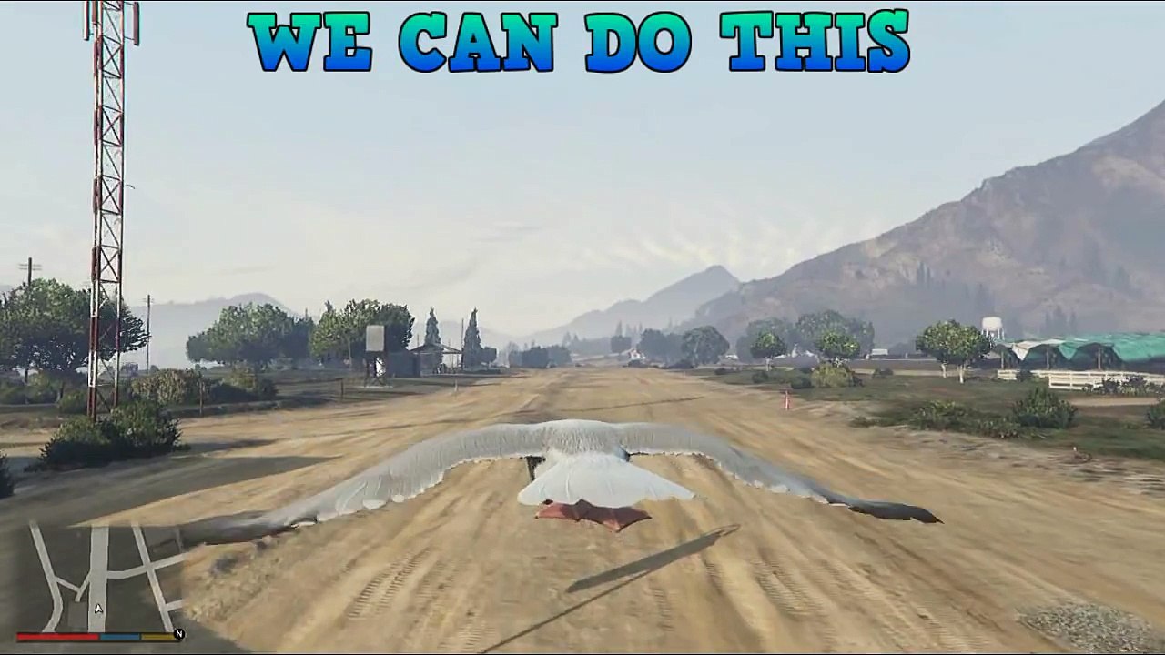 Top GTA 5 FUNNY MOMENTS