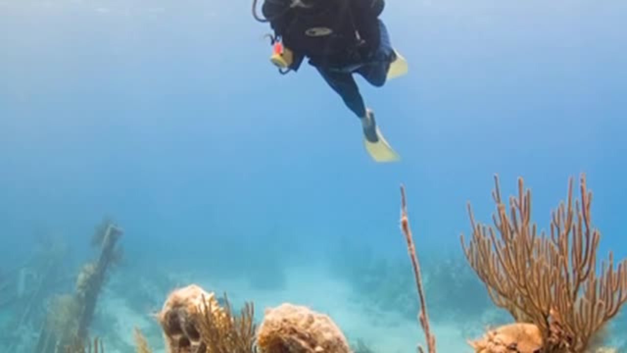 Alan Marquardt - Expert in his Field