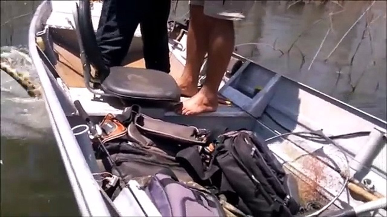 Giant Anaconda attacks Boat