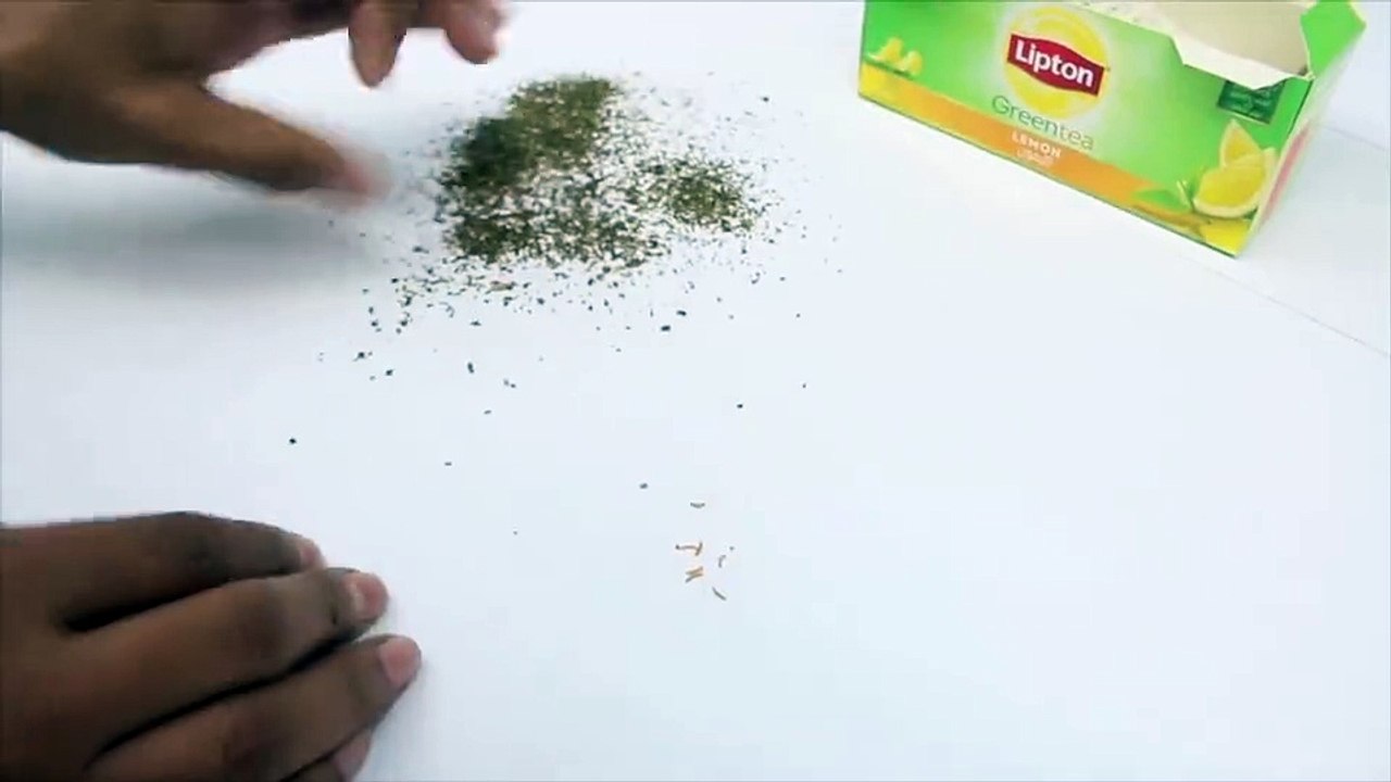 Lipton Green Tea comes with explanation