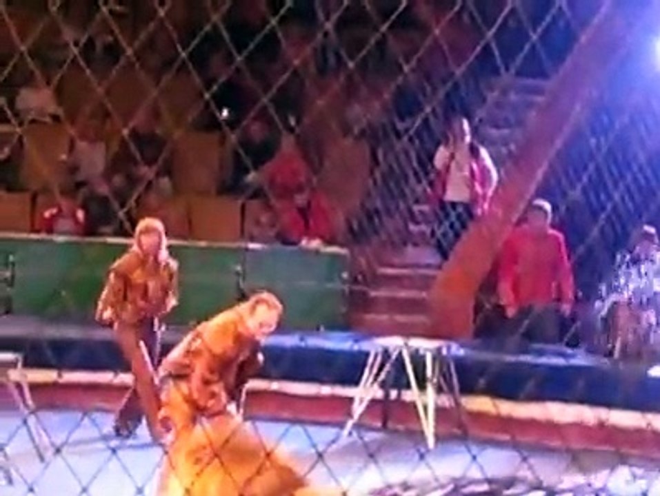 Lion attacks on girl and man in circus