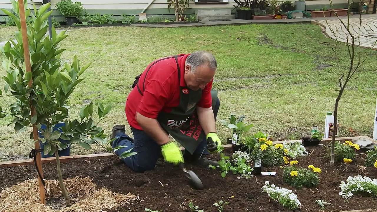 How To Design A Formal Garden - DIY At Bunnings