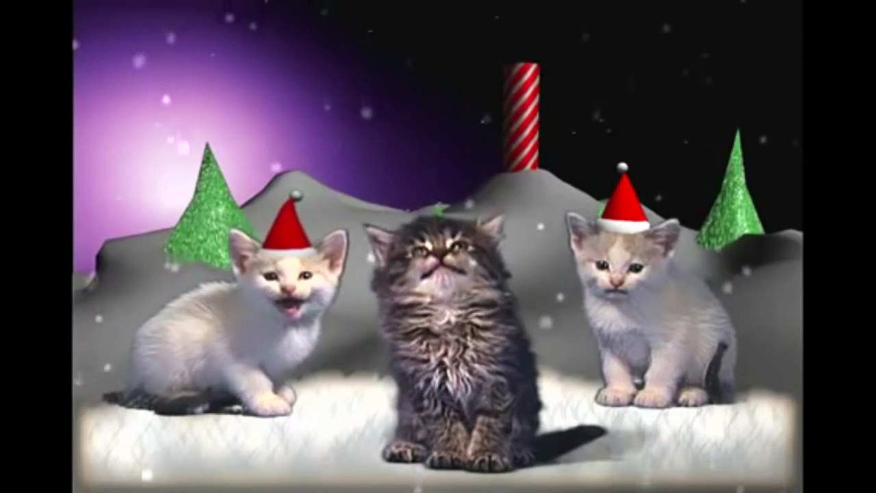 Поющие Коты, подборка кошачий концерт