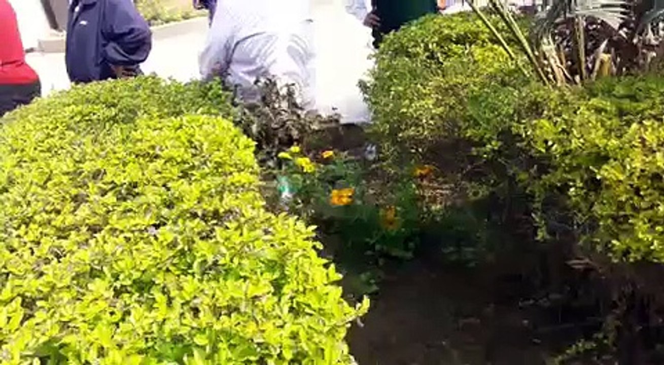 Arvind Kejriwal Ludhiana (3)