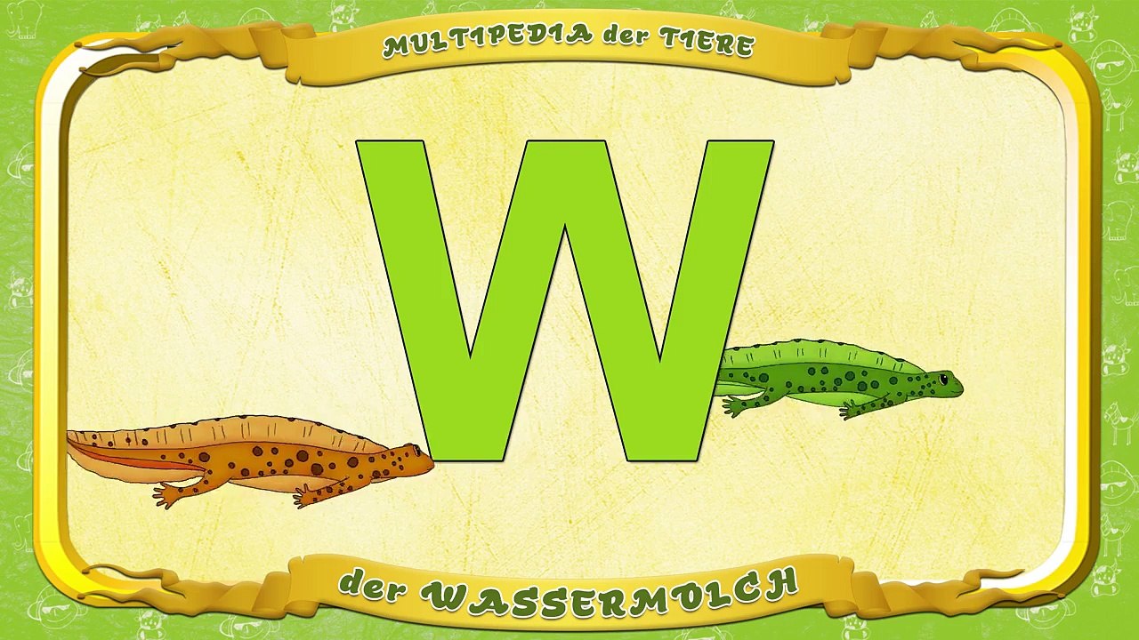 Multipedia der Tiere. Buchstabe W der Wassermolch