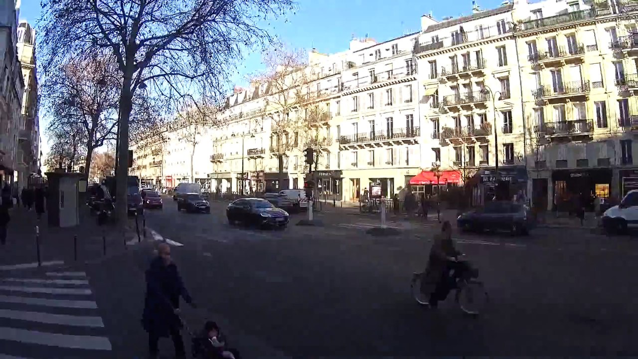 Top Scene Highlights 🎬