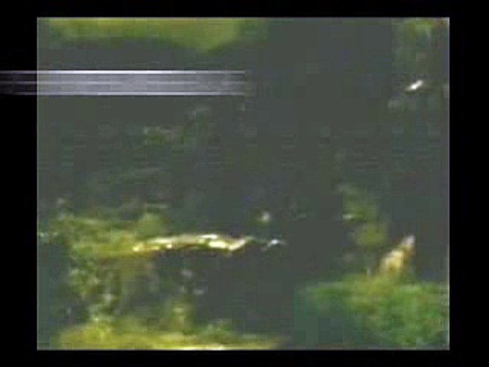 Chup gaye sare nizare- MOHD RAFI